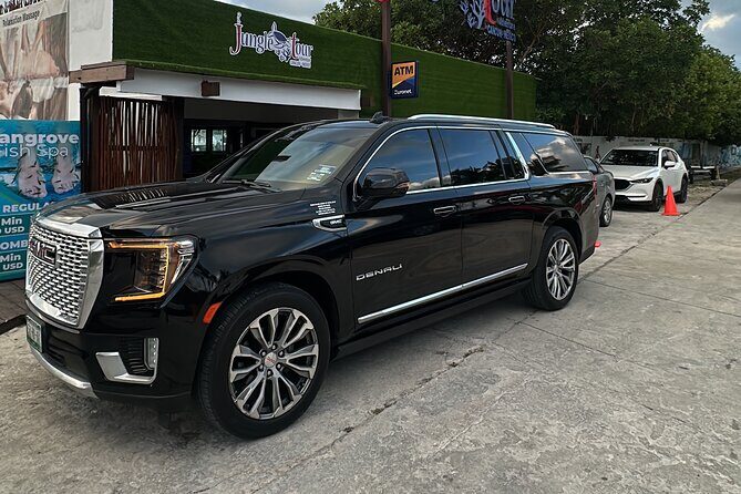 Private Luxury Transportation to and from the Airport - The Vehicle Fleet and Customization