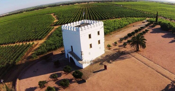 Private Luxury Wine & Food Tour in Alentejo - Tour Details