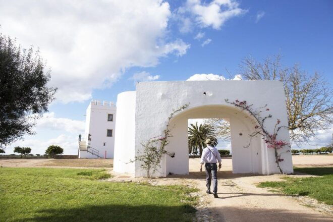 Private Luxury Wine & Food Tour in Alentejo - Exclusions