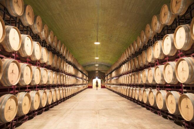 Private Luxury Wine & Food Tour in Alentejo - Important Information