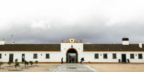 Private Luxury Wine & Food Tour in Alentejo - The Sum Up