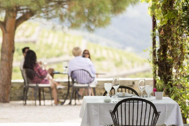 Private Luxury Wine & Food Tour in Douro - Included Services