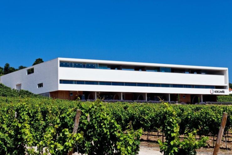 Private Luxury Wine & Food Tour in Lisbon Region - Itinerary