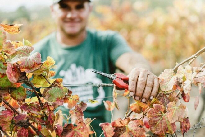 Private Luxury Wine & Food Tour in Lisbon Region - Directions