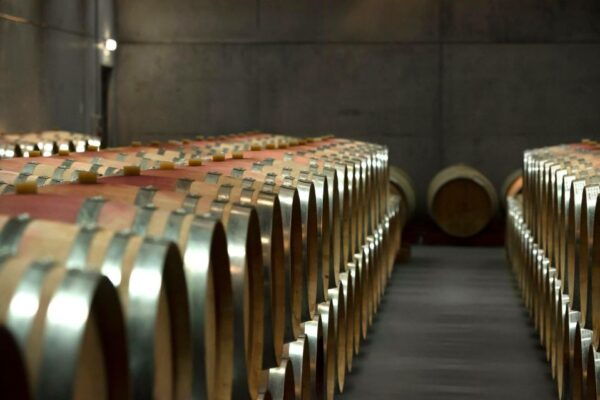 Private Luxury Wine & Food Tour in Lisbon Region - The Sum Up