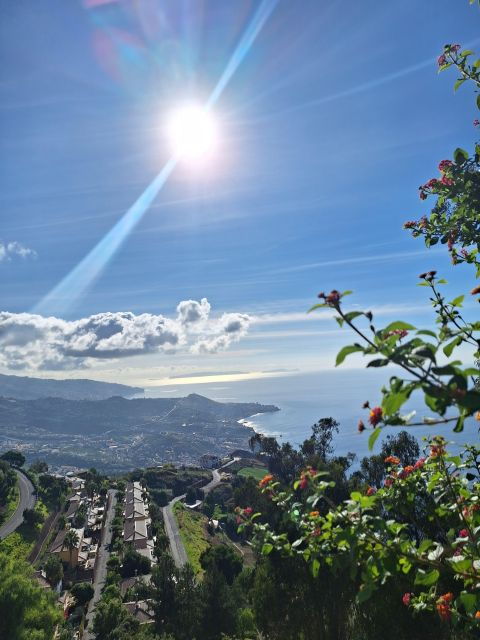 Private Madeira Complete Full Day Tour - FAQ