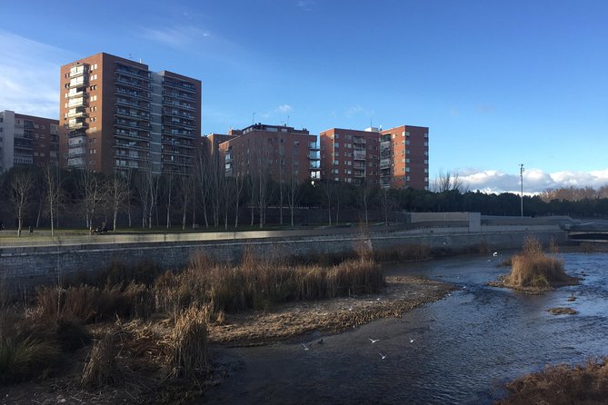 Private Madrid Full Day Guided Tour With Dlx Car - Top Sights of Madrid