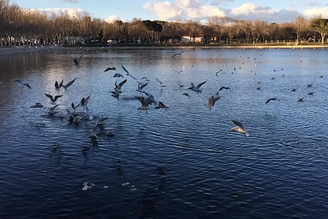 Private Madrid Full Day Guided Tour With Dlx Car - Flexible Cancellation Policy