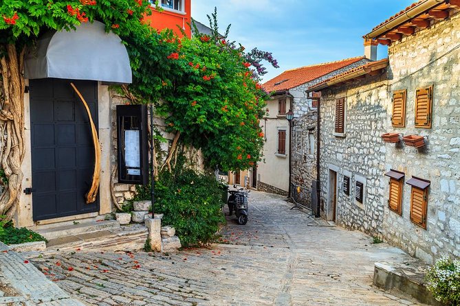 Private Magic of Istra Tour From Ljubljana - Inclusions