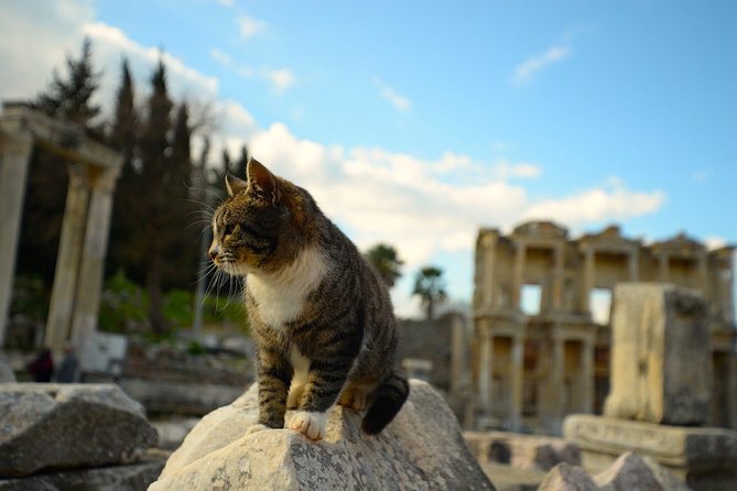 Private - Main Ephesus Tour - SKIP THE LINE TICKETS - Tour Information