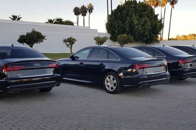 Private Malaga Transfer: Central Malaga and Costa Del Sol to Cruise Port - Questions and Copyright