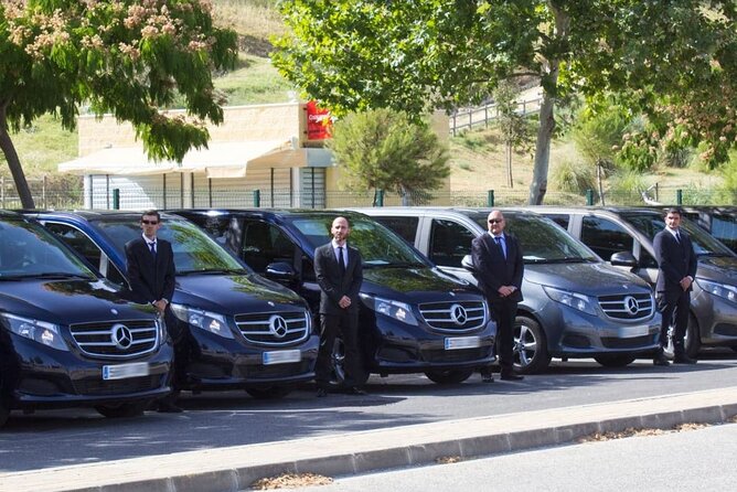Private Malaga Transfer: Cruise Port to Central Malaga and Costa Del Sol - Overview of Transfer