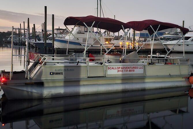 Private Manatee Swim Crystal River FL 6 Passenger Max Free Photos - FAQs