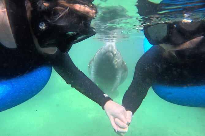 Private Manatee Swim Tour - Tour Overview