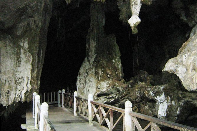 Private Mangrove Tour 2 Hour (max 8 People) - Inclusions and Amenities