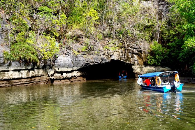 Private Mangrove Tour 2 Hour (max 8 People) - Booking Information