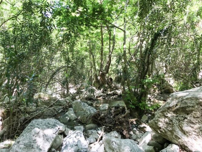 Private : Margarites Village-Arkadi Monastery-Patsos Gorge - Remarkable Scenery of Arkadi Monastery