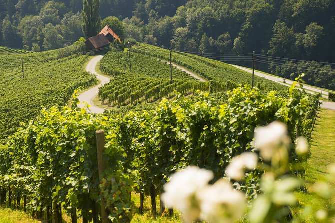 Private Maribor, Ptuj & Wine Road From Ljubljana - Frequently Asked Questions