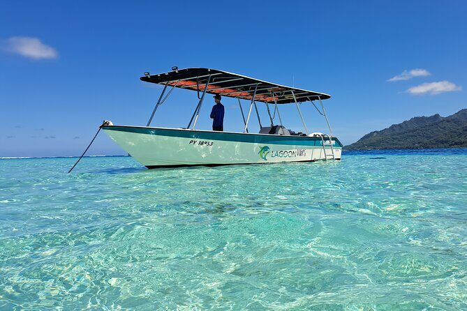 Private Marine Excursion and snorkeling in the lagoon of Moorea - Introducing the Moorea Private Marine Snorkeling Experience