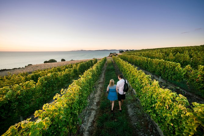 Private Marlborough Winery Tour - Pricing and Terms for the Private Marlborough Winery Tour