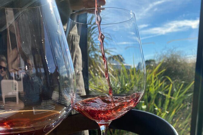 Private Martinborough Wine Tour for Wine Enthusiasts - Good To Know