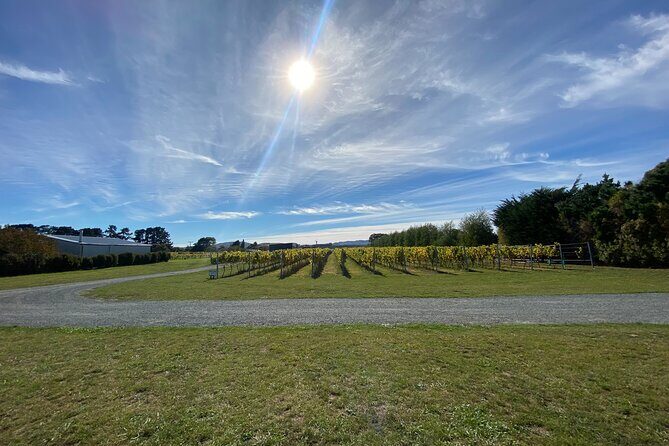 Private Martinborough Wine Tour for Wine Enthusiasts - Final Thoughts