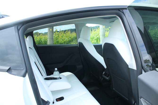Private Martinborough Wine Tour in an Electric Vehicle - Tesla Model Y - Learn About New Zealands Flora, Fauna, and History
