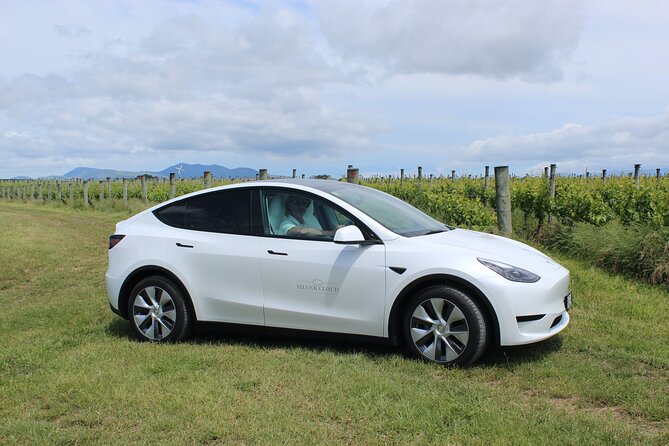 Private Martinborough Wine Tour in an Electric Vehicle - Tesla Model Y - Immerse Yourself in Martinboroughs Hospitality