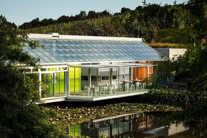 Private Matakana Personalised Tour - Good To Know  