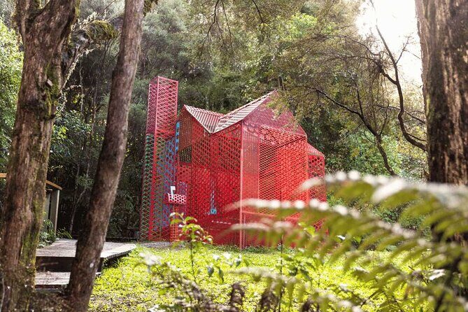 Private Matakana Personalised Tour - Final Thoughts