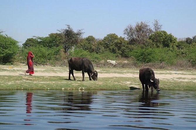 Private Mathura and Vrindavan Day Tour From Delhi - Additional Information