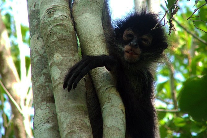 Private - Mayan Inland Expedition - Coba Ruins, Punta Laguna and Mayan Family - Tips for the Trip