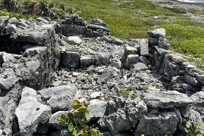 Private Mayan Ruins Tour with Cenote/caves and Mexican Picnic - Who Is This Tour Best Suited For?