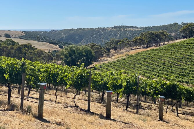 Private Mclaren Vale Wine Tour - Winery Selections
