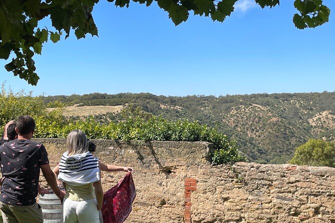 Private Mclaren Vale Wine Tour - Private Tour Highlights
