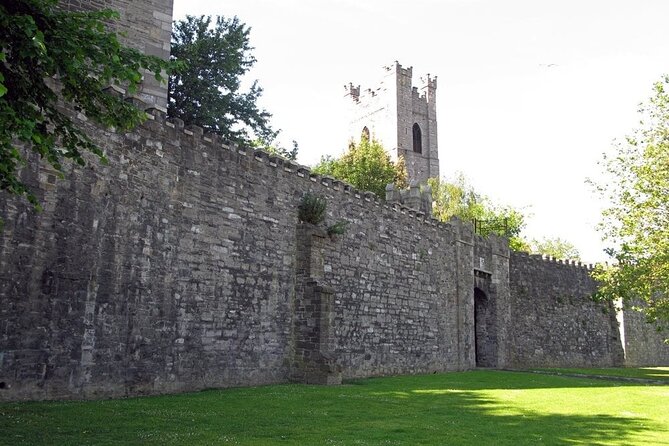 Private Medieval Walking Tour in Dublin - Highlights and Itinerary