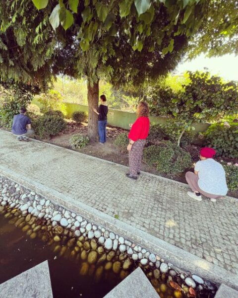 Private Meditation Experience at a Lovely Farm in Porto - Directions