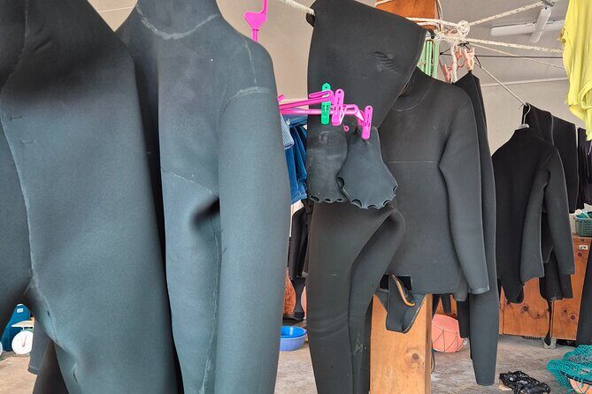 Private Meeting with a Haenyeo: Jeju Shore Excursion - Good To Know