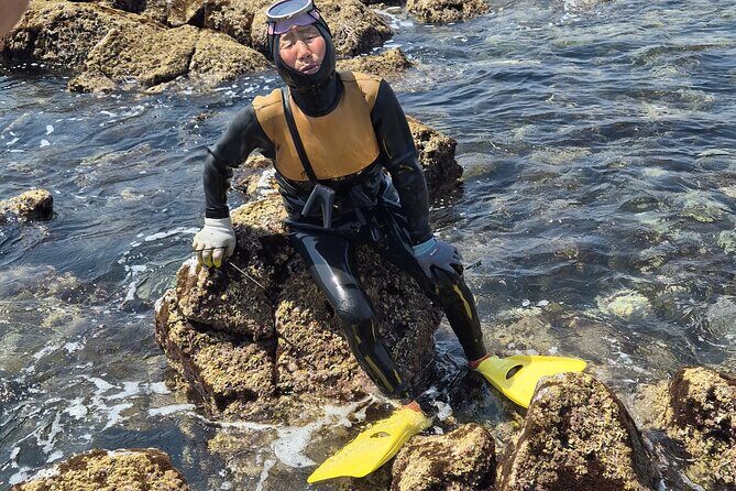 Private Meeting with a Haenyeo: Jeju Shore Excursion - Who Will Love This Tour?