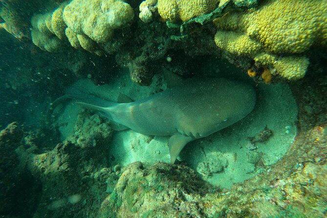 Private MegaSUP & Snorkel Tour of Fort Lauderdale Reefs - Questions and Assistance