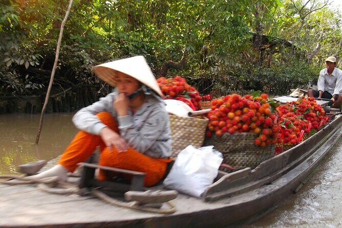 Private Mekong Delta and Saigon City Highlights - Transportation and Guide Experience