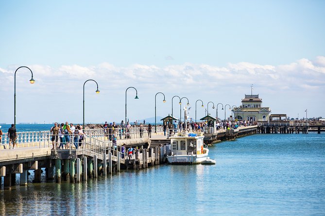 Private Melbourne City Sights - Morning Tour - Ideal Comprehensive Melbourne Tour