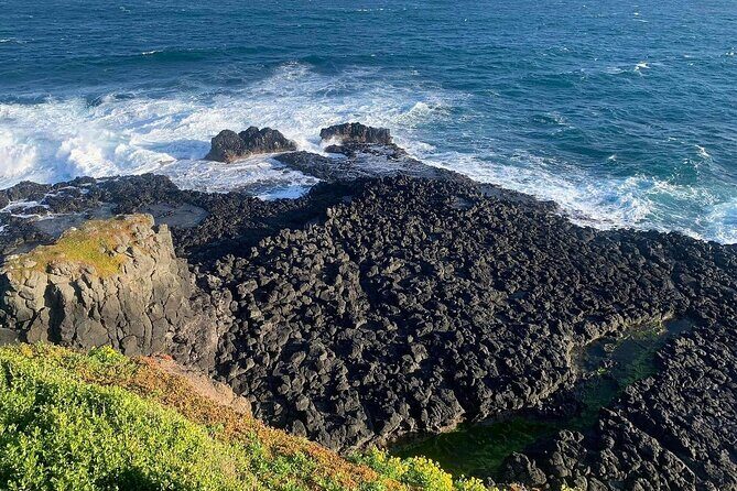 Private Melbourne Tour: Phillip Island and Chocolate Factory - Why Choose This Tour?