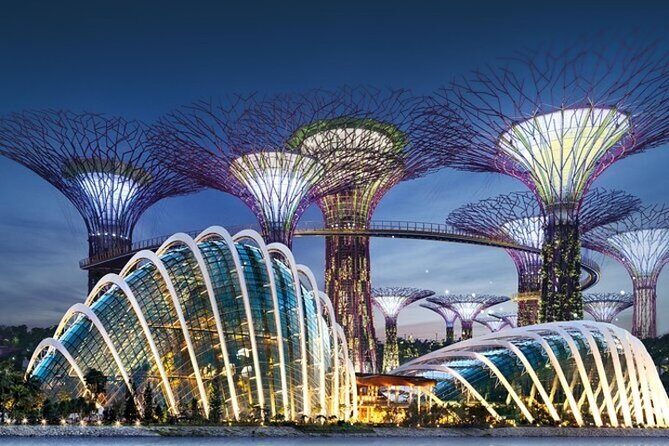Private Memorable Night City Tour in Singapore - An In-Depth Look at the Singapore Night Tour
