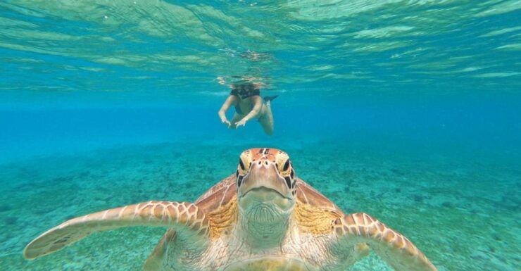 Private Meno Trip 2 Hours With Gopro Camera Included - Trip Overview