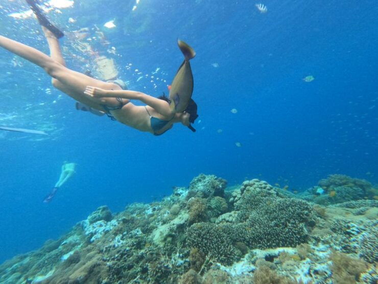 Private Meno Trip 2 Hours With Gopro Camera Included - Booking Details