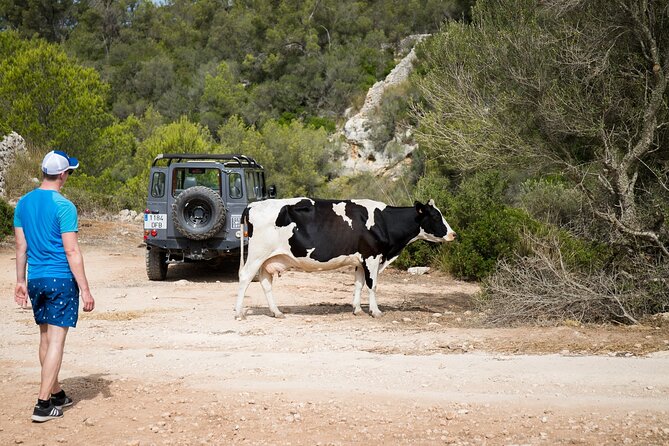 Private Menorca Discovery Island, Port Mahon Shore Excursion - Additional Information