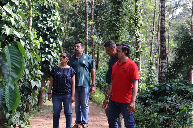 Private Mercara Coorg Coffee and Spice Estate Tour - Tour Highlights and Inclusions