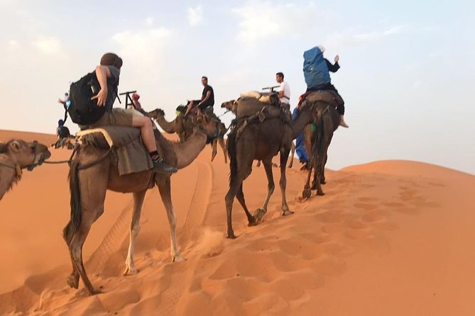 Private Merzouga Desert Tour From Marrakech Ends in Fez - Itinerary Highlights