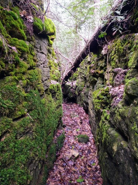 Private Metcalfe/Duncan Caves Hike-Collingwood/Blue Mountain - Pricing and Booking